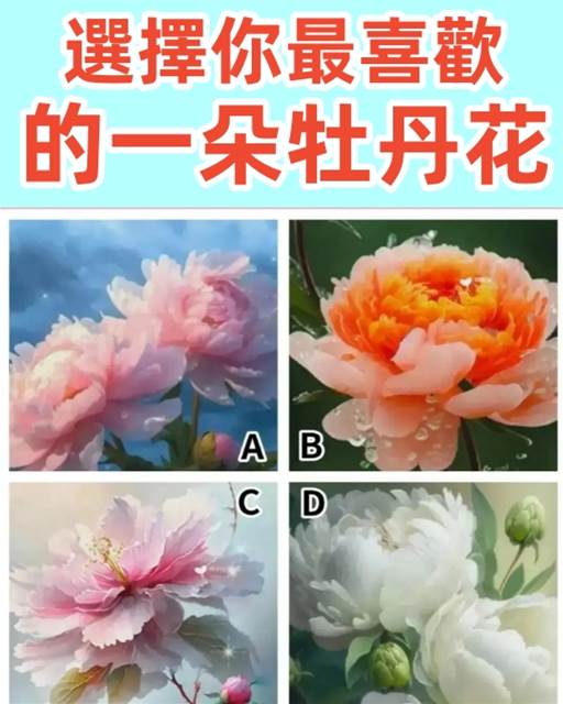 心理測試: 測你以後會過什麼樣的生活？選擇你最喜歡的一朵牡丹花？