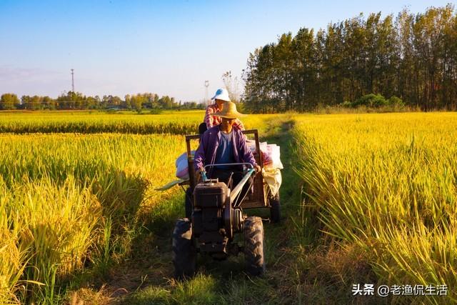 年過60的我「決定出門打工」！因為退休後「發現兒女正在遠離自己」...