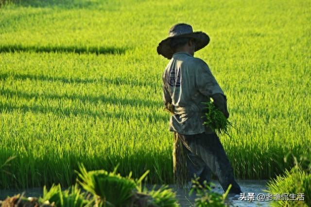 年過60的我「決定出門打工」！因為退休後「發現兒女正在遠離自己」...