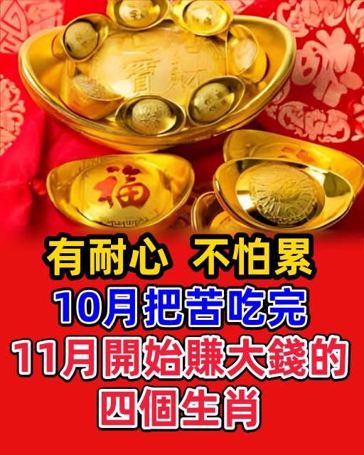 有耐心，不怕累，10月把苦吃完，11月開始賺大錢的四個生肖