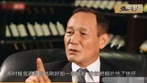 劉嘉玲30年前被綁架時究竟經歷了什麼？幫會老大陳惠敏說出了真相！