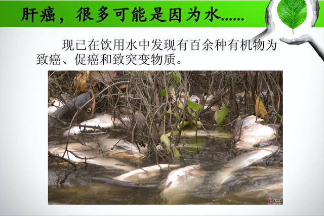 90後夫妻喝桶裝水5年，雙雙確診肝癌，醫生：無知害人不淺