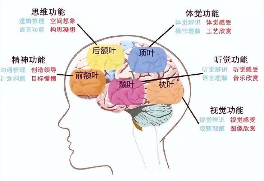 案例：首例冷凍人：提前支付50年費用，原定2017年被喚醒，醒了嗎？