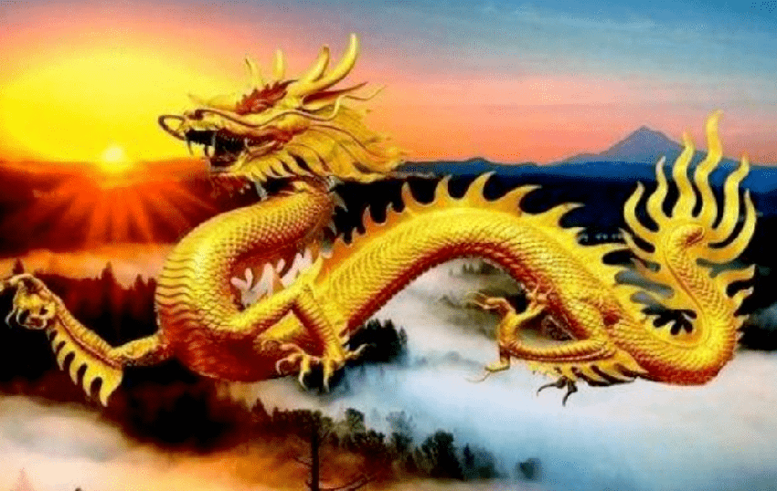 前途大好的三大生肖，未來半年鹹魚翻身，喜迎富貴