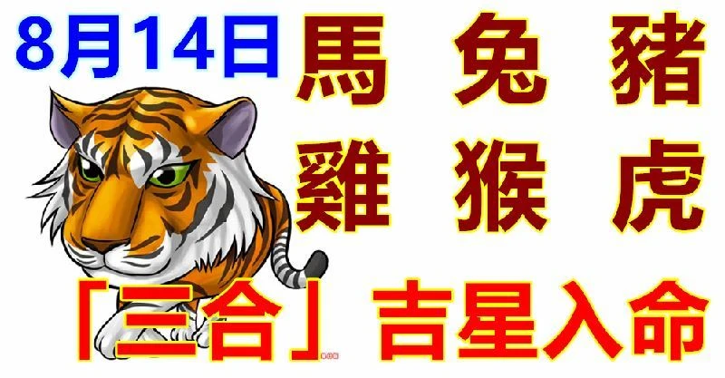 8月14日生肖運勢_馬、兔、豬大吉