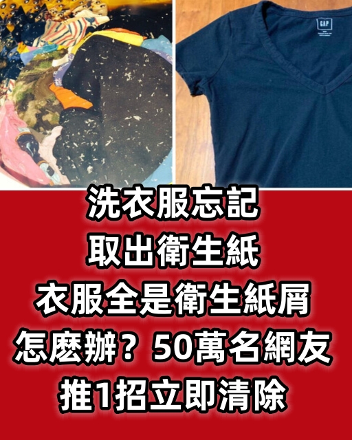 洗衣服忘記取出衛生紙，衣服全是衛生紙屑怎麼辦？50萬名網友推1招立即清除