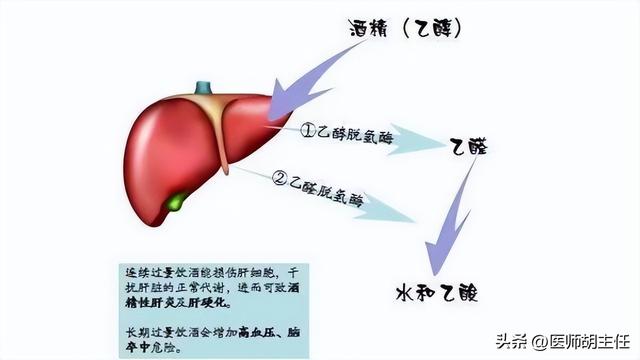 醫生提醒：一旦患上脂肪肝，這3物就別吃了，不要害了自己