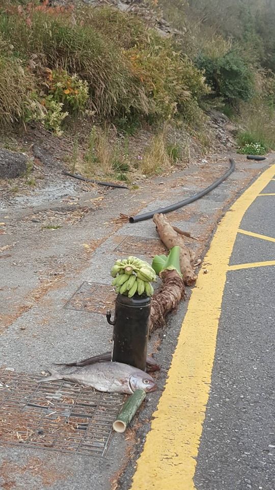 衝武嶺跑山！沿途見「2串香蕉+2條魚」擺出奇特陣法  網友馬上勸「千萬別跑快閃」：秒被纏上