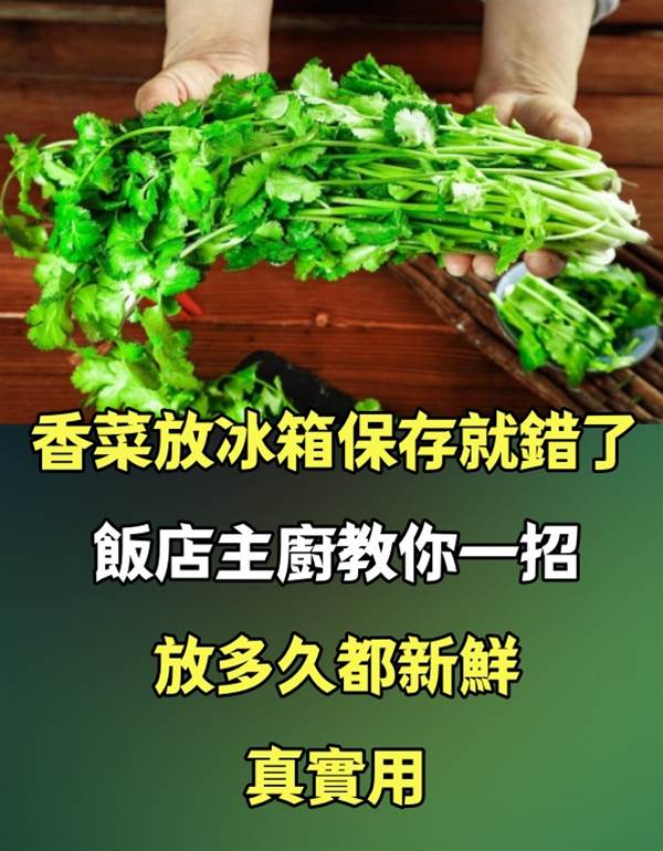 香菜放冰箱保存就錯了，飯店主廚教你一招，放多久都新鮮，真實用