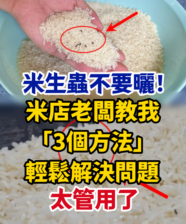 米生蟲不要曬!米店老闆教我「3個方法」輕鬆解決問題:太管用了