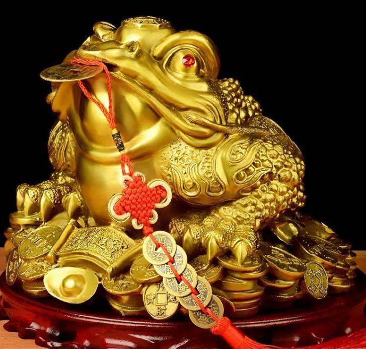 不是迷信！家中進了這3種「動物」，千萬別趕別傷害！趕走就是斷財路，老天送你財運留住旺三代！