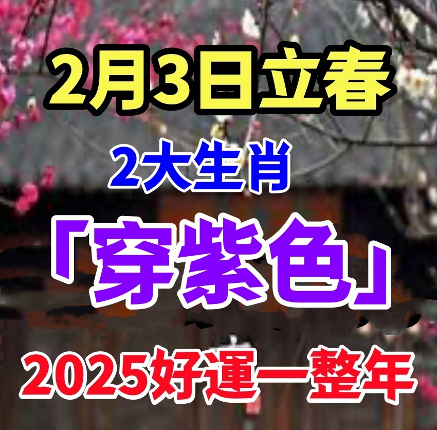 風水大師說：2月3日立春，這2個生肖「穿紫色」，財運會旺旺來，一整年順利又吉祥！