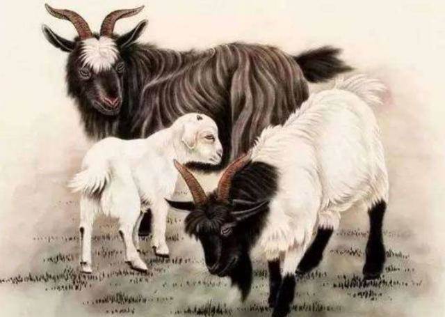 這四個生肖被媽祖偏愛，創業一路生花，財運大逆襲