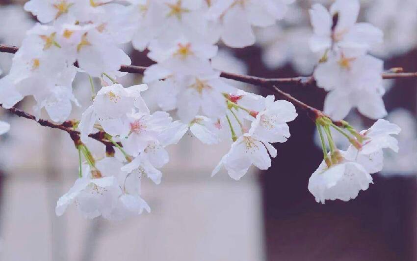 結婚以後,和兄弟姊妹相處,最好別花這兩種錢,不是小氣,是遠見