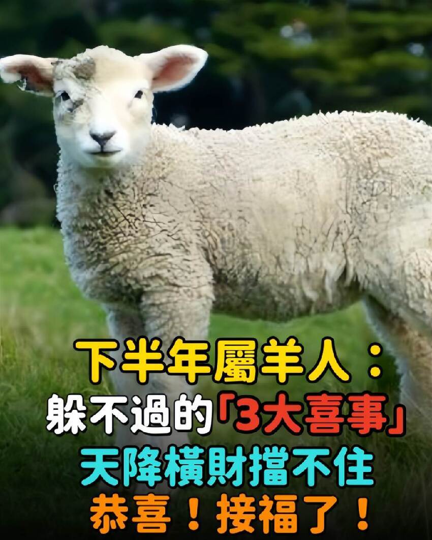 恭喜！2026下半年屬羊「躲不過的3大喜事」天降橫財擋不住「家有生肖羊」的接福了