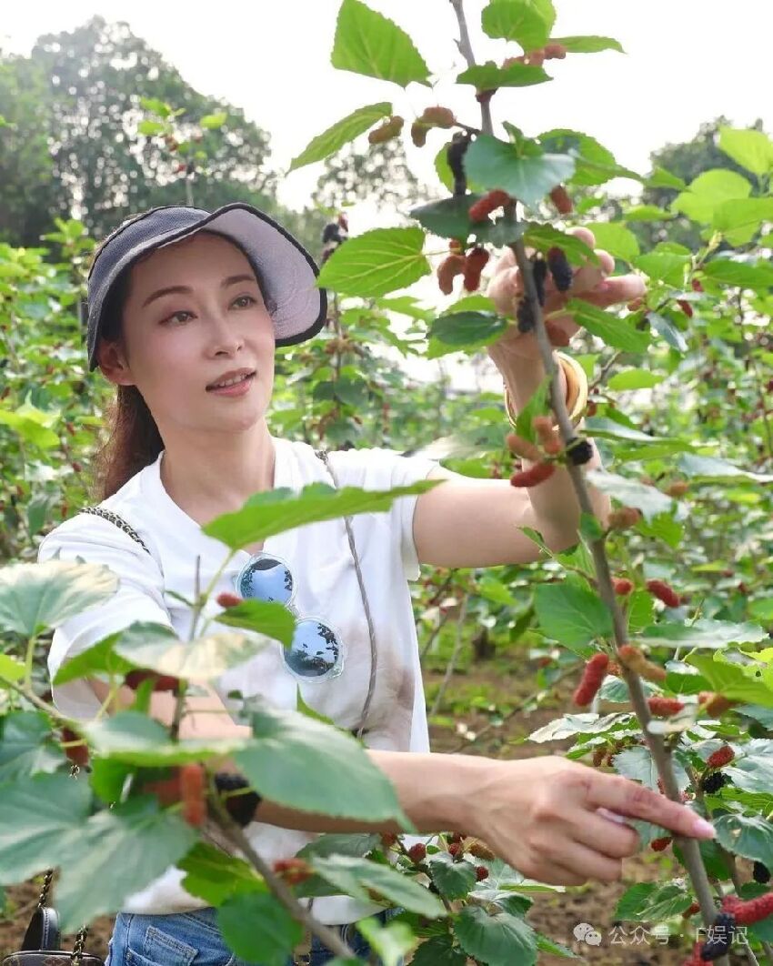 楊怡帶女兒回鄉下摘桑葚親近大自然 羅仲謙留言被指求生欲滿滿