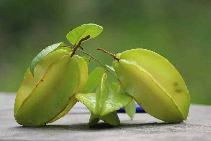 榴槤傷肝，柿子傷胃，最傷腎的水果原來是它！醫生：比砒霜還毒20倍！