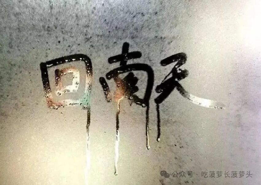 回南天濕氣重，多吃這三道「祛濕菜」，排濕健脾，將濕氣一掃而空！