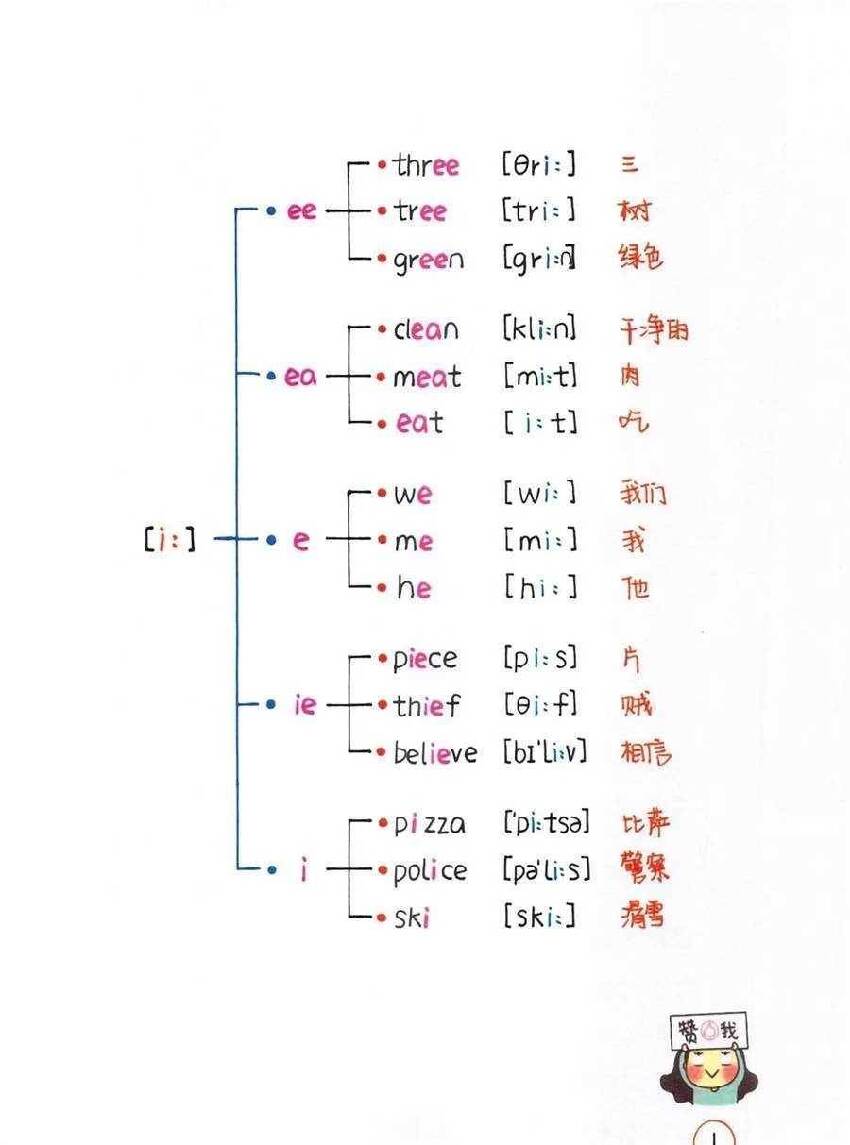 博士媽媽把英語自然拼讀要點提煉成筆記導圖,貼牆上背,孩子見詞能讀,聽音可寫。