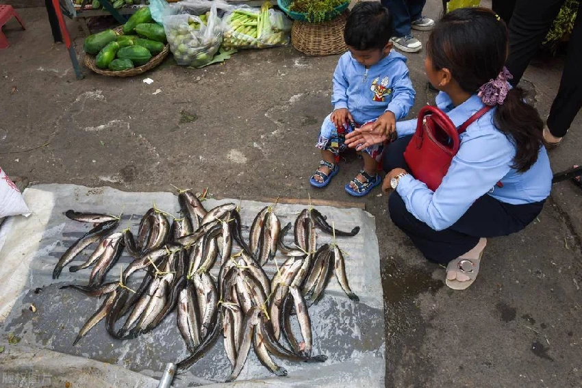 這3種魚，寄生蟲太多，水產商自己都不吃，很多人並不知道，還經常買來吃