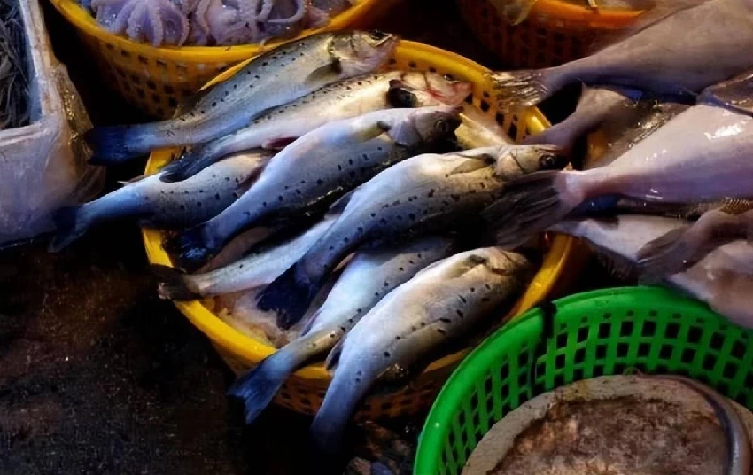 這3種魚，寄生蟲太多，水產商自己都不吃，很多人並不知道，還經常買來吃