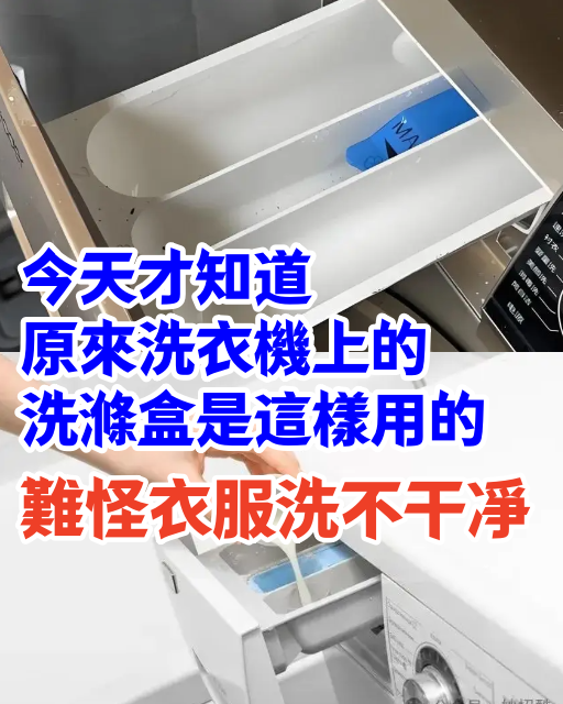 今天才知道，原來洗衣機上的洗滌盒是這樣用的，難怪衣服洗不幹凈