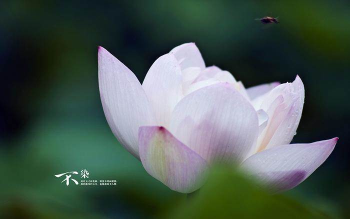 六月底，偏財最好「十賭九贏」的生肖！得貴人相助，彩票中頭獎，越發越富有！