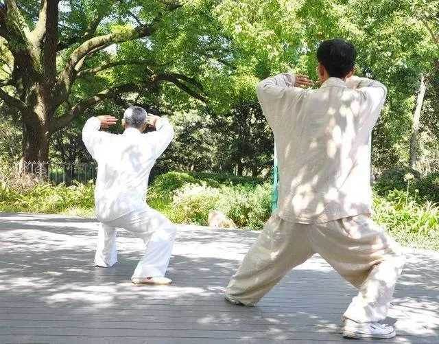 血管裡面都是油！記住2個食療法「膽固醇」降得又快又簡單　暢通不堵塞：遠離心腦血管疾病～