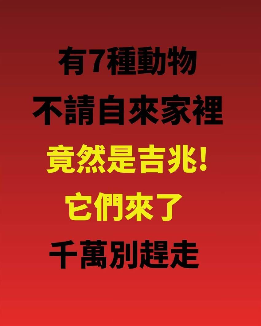 有7種動物不請自來家裡，竟然是吉兆!!!  它們來了千萬別趕走！