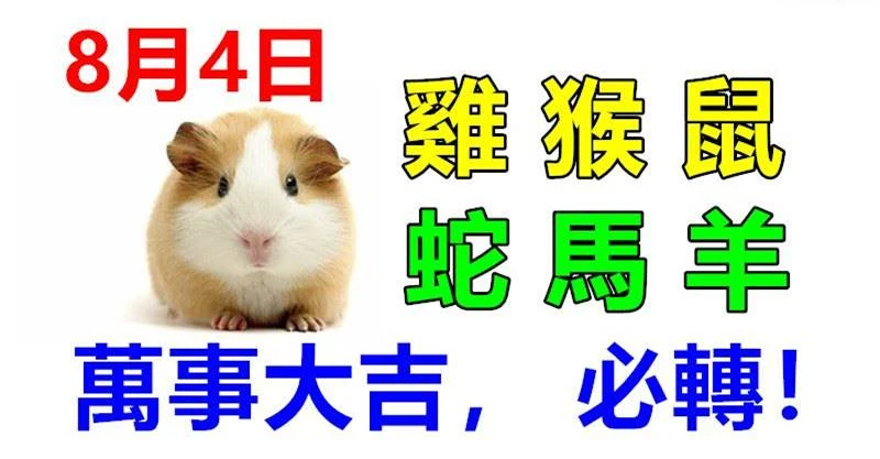 8月4日生肖運勢_雞、猴、鼠大吉