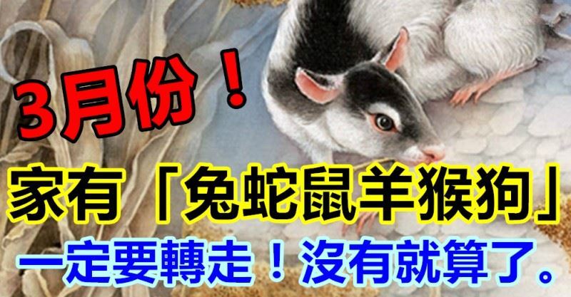 3月份家有（兔蛇鼠羊猴狗）一定要轉走，沒有就算了