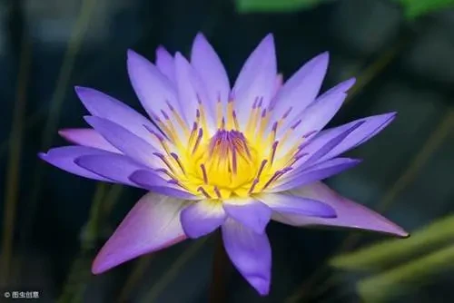 把握了!「清明節」這5個生肖必買彩票,乞丐也能發大財!