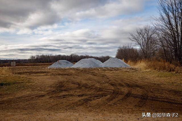 種菜要學會巧用小蘇打，不僅能防治病蟲害，還能增加產量，學會你也成為種菜高手