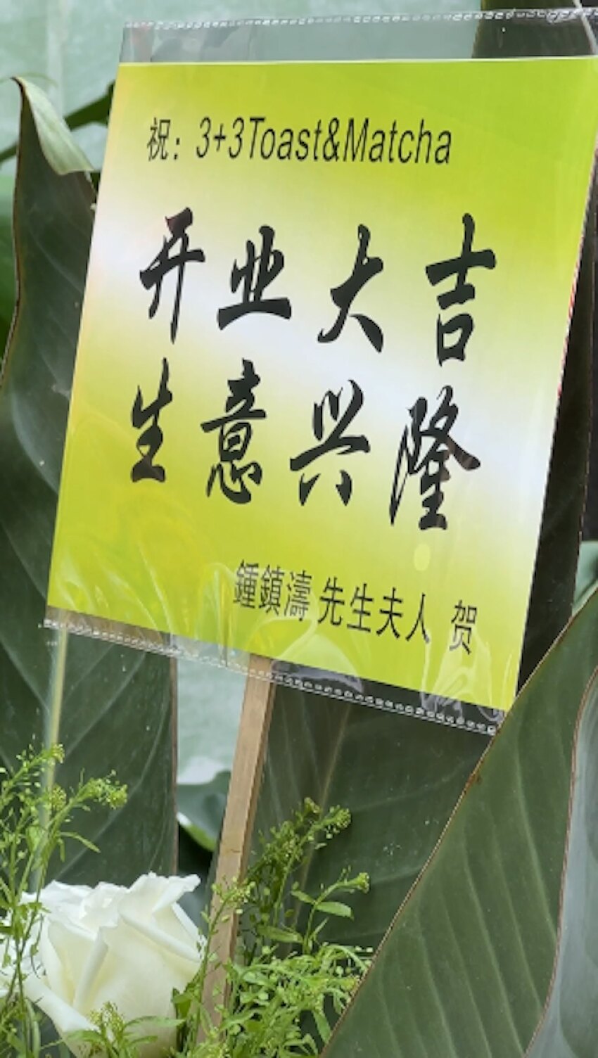 曾志偉佛山麵包店開業場面盛大,紅顏知己伴隨剪綵,兩人相伴12年
