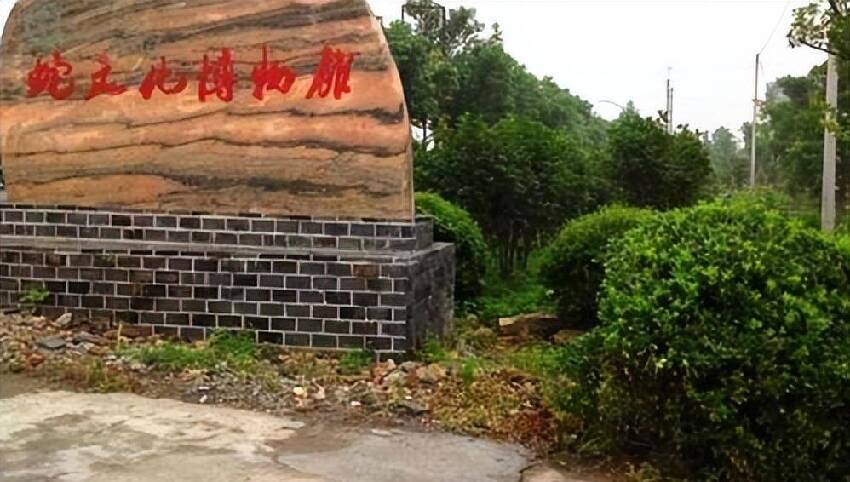 中國第一蛇村：全村人與300萬條蛇共同生活，蛇王靠它年入千萬
