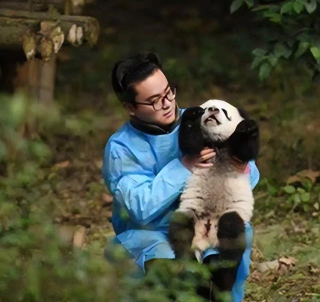 頂流飼養員被曝虐待熊貓、睡粉，在澳門與粉絲髮生關係，懷孕後玩消失