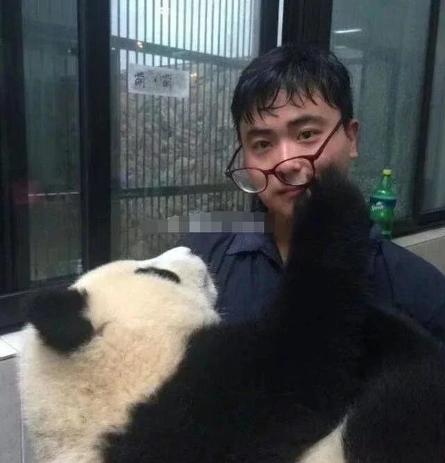 頂流飼養員被曝虐待熊貓、睡粉，在澳門與粉絲髮生關係，懷孕後玩消失