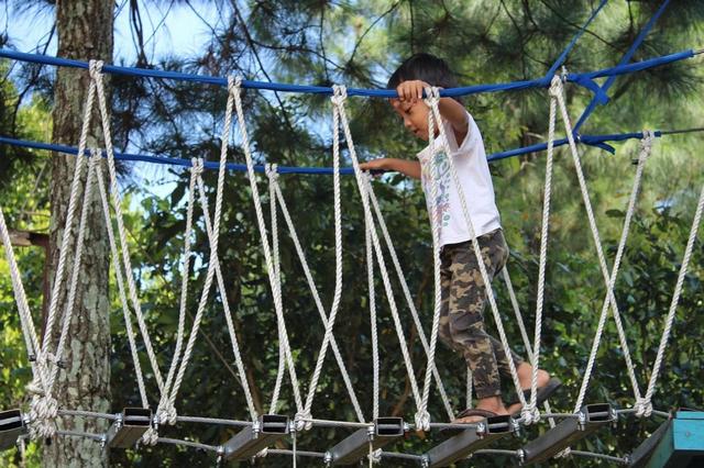 幼兒園老師發現:6歲前,孩子有4種表現,多半是潛在的「學霸」