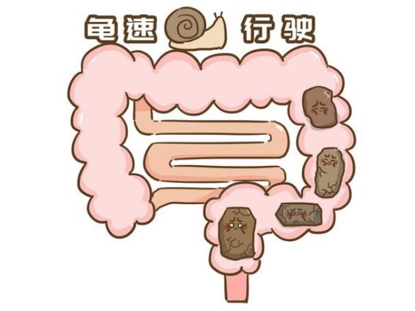 「腸道清道夫」公布了！不是香蕉常吃「6種富含纖維素食物」排便更加順暢　預防便秘：遠離大肚腩