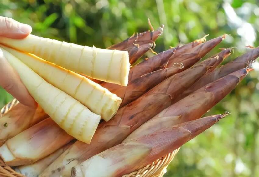 花生是糖尿病「催化劑」？專家勸告：若想胰島強壯「2種食物」趁早忌口