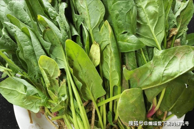 冬天買菠菜，要分清「尖葉」和「圓葉」差別很大，弄明白了再掏錢