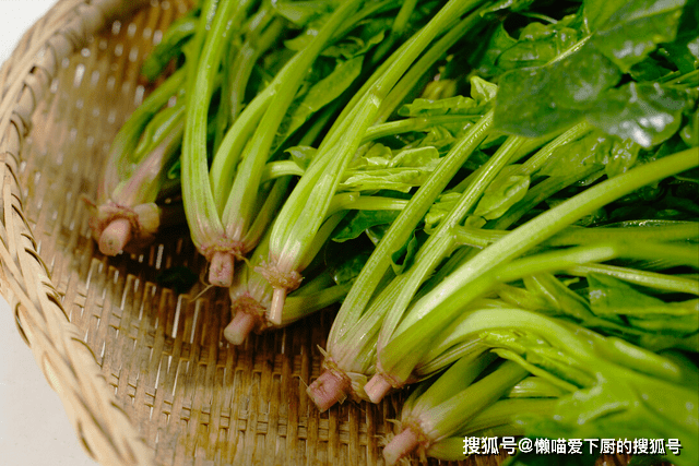 冬天買菠菜，要分清「尖葉」和「圓葉」差別很大，弄明白了再掏錢