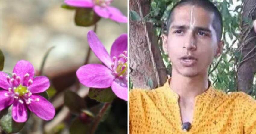 「印度神童」阿南德驚呼：2026巨龍降生！ 4大生肖已被選中，你們將免受一切苦難：好日子要來了！