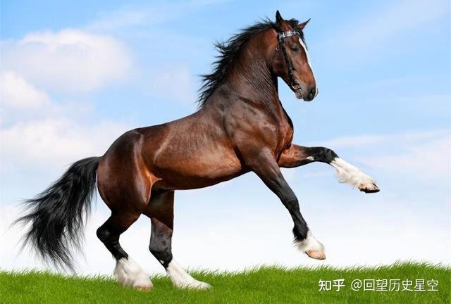 生肖馬：最旺的「八個生日尾數」後代全是龍鳳，子女會有大出息