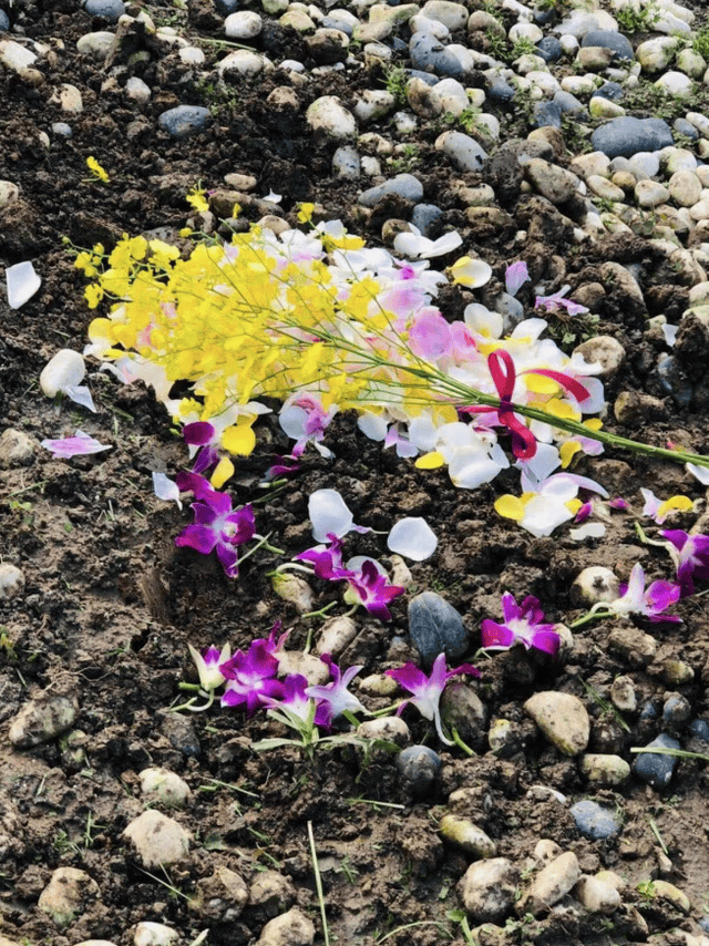 曝瓊瑤遺體今日火化，安葬地曝光，不立墓碑，丈夫平鑫濤長眠於此