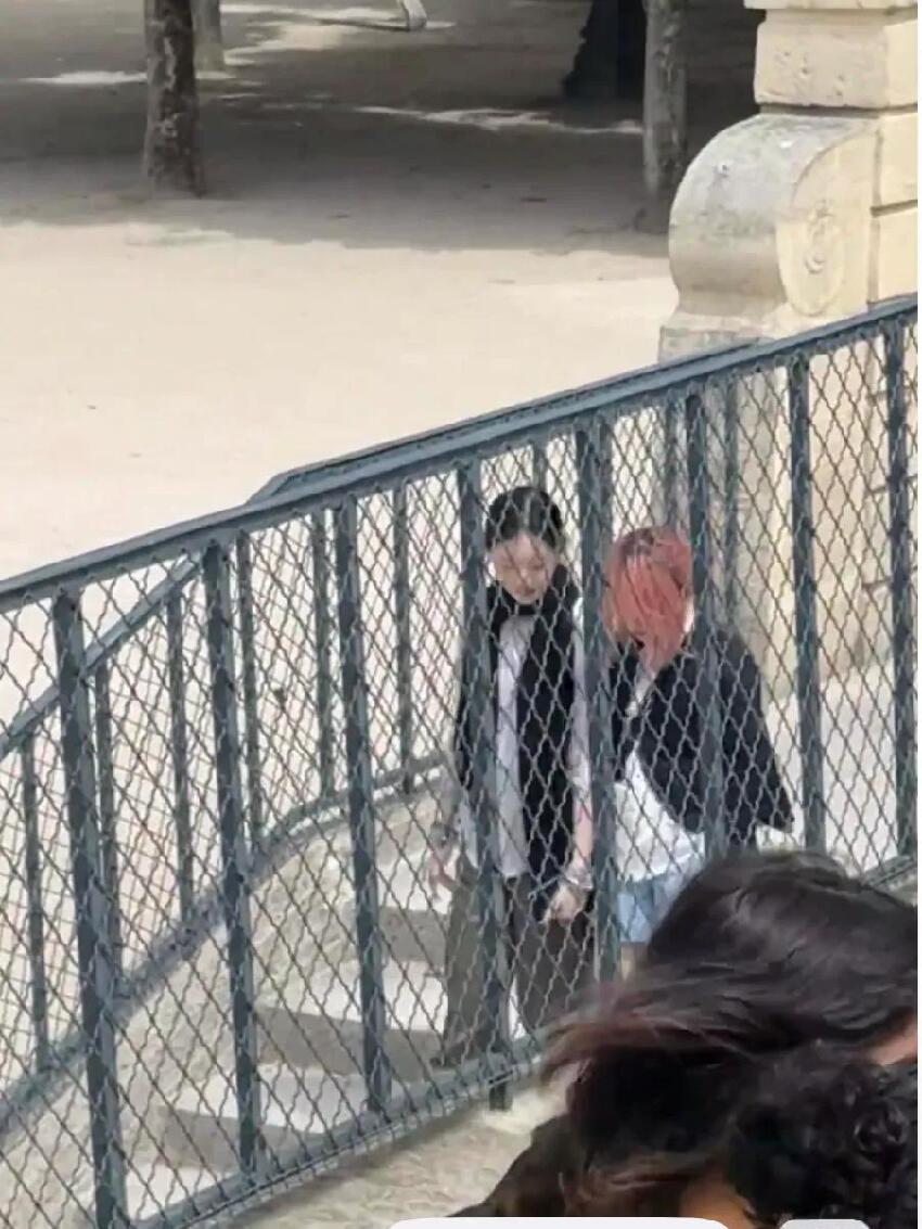 巴黎偶遇李嫣逛公園,20歲的她身高175,體態氣質都很像媽媽王菲