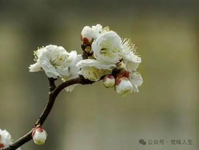 血型排行榜！（太準啦）