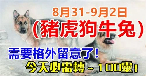 8月31日 到 9月2日（豬虎狗牛兔）需要格外留意了，今天必須轉