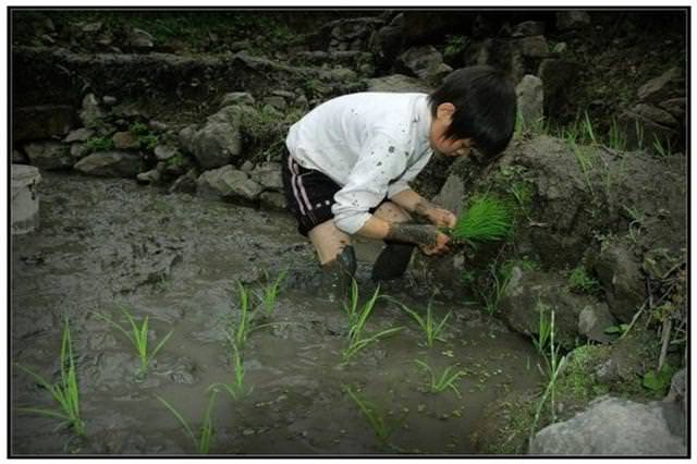 生了5個女兒，媽媽被當地人當做笑柄，20年後卻令人無比羨慕！