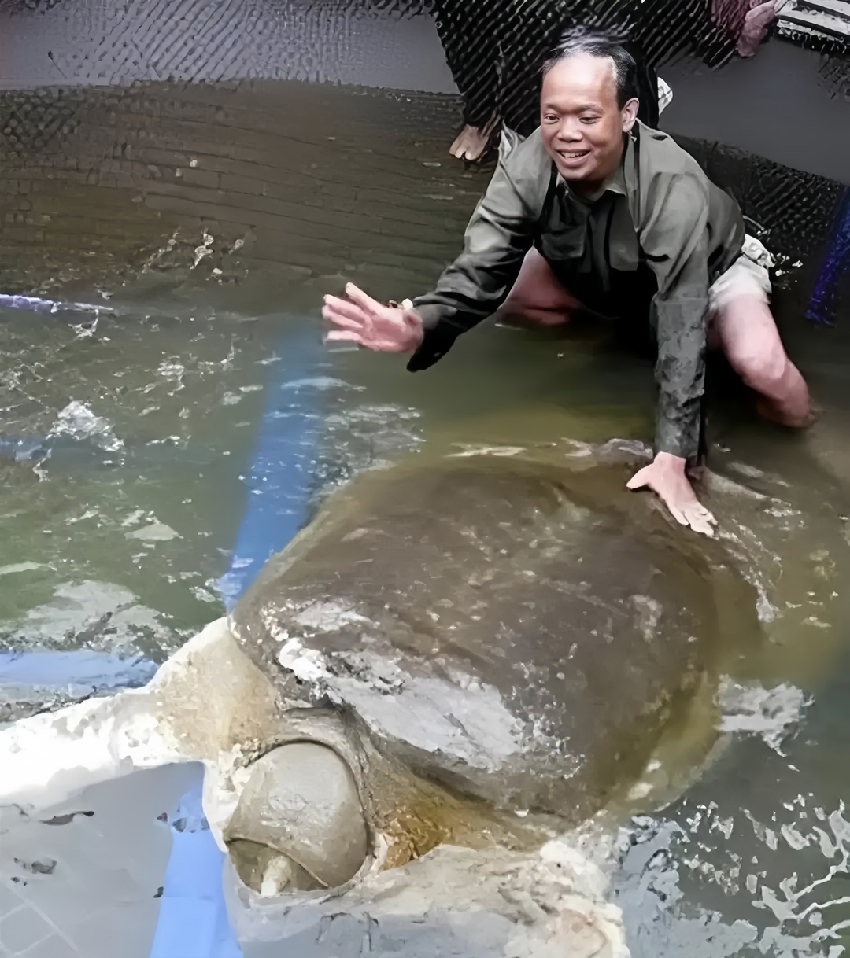 釣魚驚現700歲老鱉，釣客將它放生，卻發生了改變他一生的事情